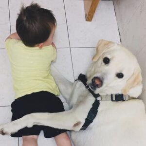Andrea Ropero Instagram - Te acabas de ir y ya te echamos insoportablemente de menos, Malo 💔 Gracias por haber sido el mejor compañero de viaje. No hay 🐶 como tú. Sigue robando comida… Te queremos tanto…