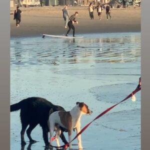 Andrea Sixtos Instagram - ..twas a lovely day indeed 🧡 @dr.zelinamedina 

#VeniceBeach #Friendship #OceanWaves #Ocean #Sunset #FullMoon #Birds #Healing