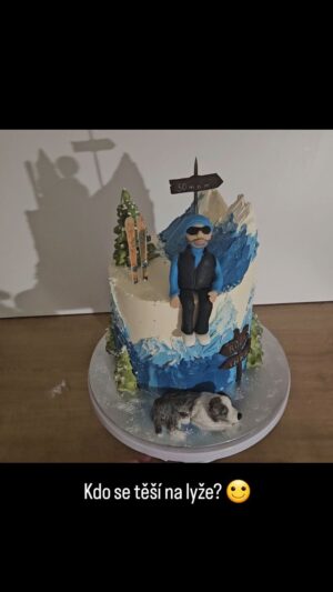 Andrea Veselá Instagram - #wintercake #lyze #cake