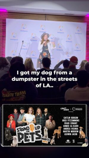 Andrea Vicunia Instagram - STAND UP FOR PETS at @annenbergpetspace thanks to @cantevencomedy was very fun and we had the cutest audience members! 🐕‍🦺🦴🐩🦮🐾🐕🐶

What a wonderful place for the dogs to wait for their forever home and way to give them visibility. #adoptdontshop #adopt #doglover #dog #dogs 

HOW MANY DOGS DO YOU HAVE?