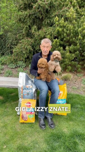 Andrej Babiš Instagram - Naše holky 🐩🐩 si stěžují, že jejich krmivo je za Fialy o 30 až 70 % dražší než za Babiše. Pane premiére, tu dvouprocentní inflaci vám už nežerou ani psi 🐶