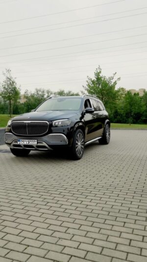 Andrej Babiš Instagram - Tohle video jste po mně dlouho chtěli, tak tady je 😄 Máme rádi auta 🚘  A ten nesmyslný zákaz aut se spalovacími motory v Evropském parlamentu zrušíme! Přijďte nás volit, díky moc ❤️