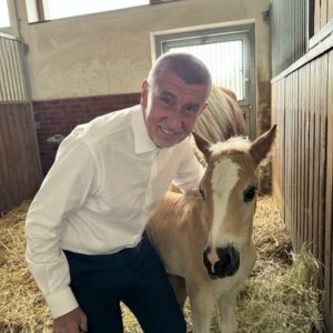 Andrej Babiš Instagram - Na Farmě @capihnizdo mají tři nové přírůstky 🐎😍 

Willa *26. 4. 2024
Apollon *3. 6. 2024
Jupiter *28. 6. 2024

Všichni jsou kouzelní a po minulém roce, kdy bohužel jedno hříbátko zemřelo, jsou to nádherné zprávy. Všem se skvěle daří ❤️