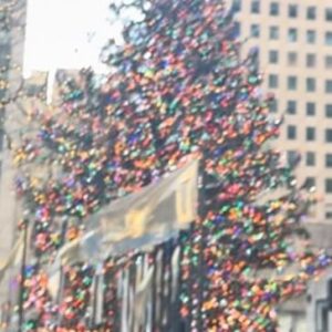 Andrew Cuomo Instagram - As a New Yorker, visiting the tree at Rockefeller Center has been a tradition of mine for as far back as I can remember.  This year was no different and I had the added privilege of meeting people from all over who came to experience the magic of the New York City holiday season for themselves. 

Wishing everyone, near and far, a very Happy Holiday…