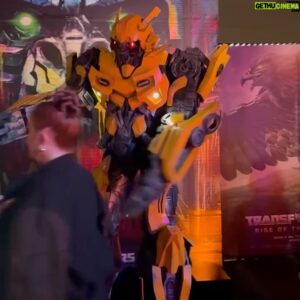 Andrew Neaves Instagram - don’t meet your heroes. Bumblebee left me hanging.