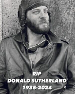 Andy García Instagram - Since Kelly’s Hero’s “Why don’t you knock it off with them negative waves? Why don’t you dig how beautiful it is out here? Why don’t you say something righteous and hopeful for a change? “ Always memorable and masterful . Extraordinary actor.  Rest  in peace.  #Donaldsutherland