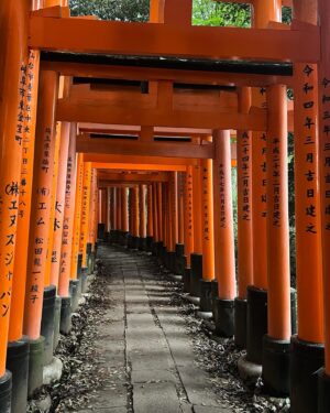 Andy Hurley Instagram - 🍯🌙🇯🇵