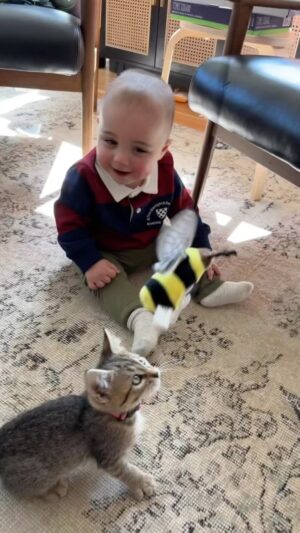 Andy Lassner Instagram - I hope you enjoy this video of my nephew with his new kitten as much as I do. Happy Monday.