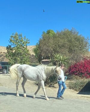 Andy Walken Instagram - Long time no post…. Hello! How is your fall looking? 🍁🍂

#backtonature #horsepower #hisnameisindy🐴