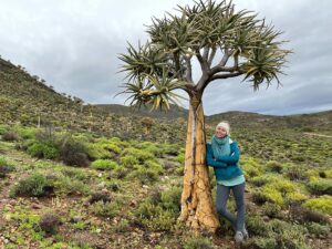 Anel Alexander Instagram - The last stop on our epic road trip in July was at @gannabosfarmandguesthouses in and amongst the biggest quiver tree forest in the southern hemisphere. It was truly like nothing I had ever seen or experienced before. Thank you to Nakkie and Merwe for their extraordinary kindness and hospitality and for sharing this otherworldly experience with tourists from far and wide. It’s truly worthy of making it onto your bucket list. #roadtrip #beautifulSouthAfrica