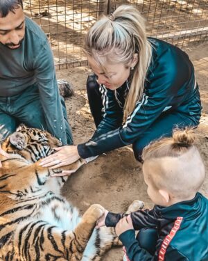 Aneta Sulek Instagram - Baby 🤍 
@zoo_de_castellar 
#tiger #babytiger🐯 #baby #zoo #zoocastellar #spain