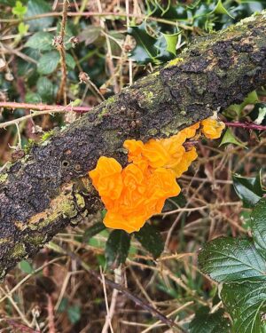 Aneurin Barnard Instagram - Nature