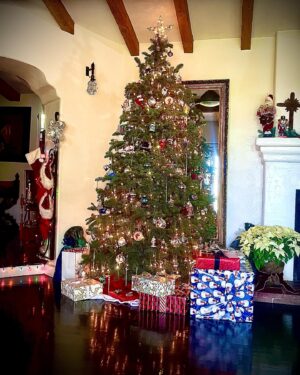Angela Alvarado Instagram - Feliz Navidad❤️Merry Christmas #holidayseason2022🎁⭐️🎄 #family #amor #blessed #grateful #happy #friendship #peace #life #calixmas #beauty #magic @casamarmont @revelationman @redamorosa #lovesofmylife #complete