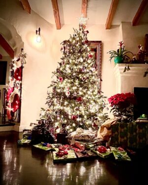 Angela Alvarado Instagram - Merry Christmas 🎄 Feliz Navidad 🎄 #blessings #family #love #happy #peace #joy #laughter #grateful 🙏🏽❤️💋