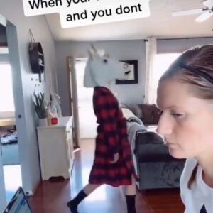 Angela Oh Instagram - Accurately describing the quarantine 🤣🐴 #workfromhome #lol #quarantinelife
