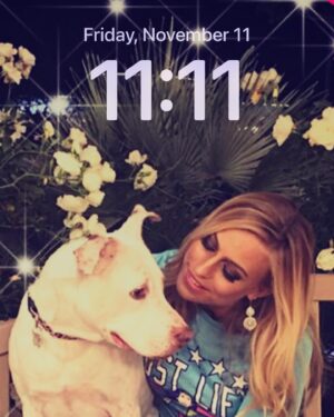 Angelique Kenney Instagram - 11:11 on 11/11 big wish 😎 
God speed! ✨ 💖 

————
#1111 #whenyouknowyouknow #God #faith #liftneup #dream #aimbig #power #shine #love #dog #rescue #memories #blonde #french #stunts #lifeisshort #carpediem #angels #michael #strengh #grace #power #wonderwoman #queen #tribe #thegoodvibetribe #nalu #warrior #notjustadog #leagueoflegends