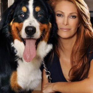 Angie Everhart Instagram - Life is amazing with @bernesedaily @dogsofinstagram #duke #lovemydog