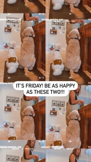 Anita Corsini Instagram - It’s FRIDAY!!!!