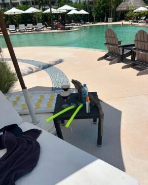 Anjli Mohindra Instagram - May 2024. Spot the lizard?