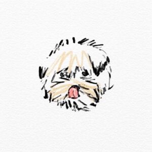 Anna Apter Instagram - 