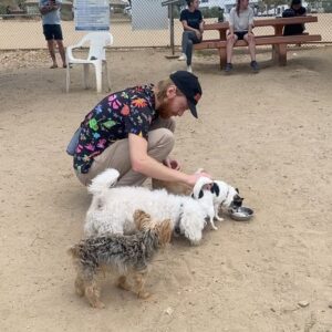 Anna Drezen Instagram - They say you can tell a lot about a person by what a dog thinks of them. Every dog loves Jason except when he wears a hat because all dogs fear men in hats. Happy birthday baby. We gotta stop getting pets.