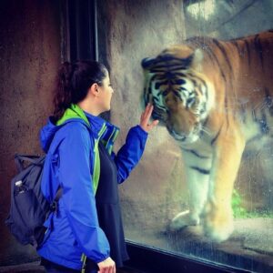 Anna Gras Instagram - And then this happens… #endangeredspecies #lincolnparkzoo #chicago #cuandoviajabamos #strokingatiger #acariciandountigre #tbt