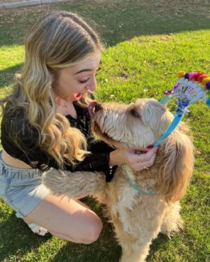 Anna Harr Instagram - alright everyone say happy 6th birthday to alfie🫶🏻🥳🎈🐶or else he may cry (he’s a very sensitive lil bro😭) #goldendoodle