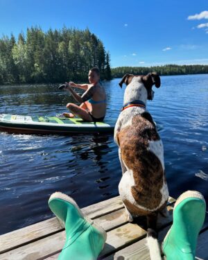 Anna-Liisa Bergström Instagram - Juhannus🍀☀️🥰🏃🏽‍♀️‍➡️🥂❤️
Sporttailua, piirakkaa, samppista ja pihatöitä😍

1.kuva: Ilme kertoo kaiken tämän päivän treenistä
2.kuva: 2km lämppää ja siitä 10 krt mäki ylös juosten
3.kuva: piirakkaa 
4.kuva: boxi hypyt
5.kuva: jatkuu..
6.kuva: äidin ja isän kanssa laitettiin kukkia mitä he toivat meille
7.kuva: muru ja Maggie aamulla unisena
8.kuva: juhannusaatto laiturilla samppanjaa nauttien 🥂
9.kuva: E halusi suppailla, minä nautin laiturilla olosta, kun ei tarvinnut tehdä mitään
10.kuva: Maggie ❤️