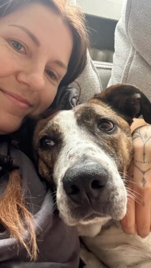 Anna-Liisa Bergström Instagram - Maggie a.k.a Mäkkyrä❤️🐶
Hän tuli meidän perheeseen ilostuttamaan meitä ja saamaan meiltä rakkautta täysillä💯
M tykkää nukkua sohvalla ja pedissä (voittaa mennen tullen betonilattian edellisestä elämästä) , venyttelee joka päivä, tarkkailee ulos @ellugee kanssa paremmin, kuin mun kanssa ja RAKASTAA palloja ❣️

@secondchancerescue.ry
