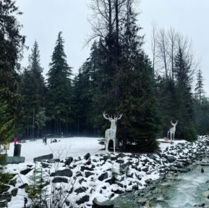 Anne Leighton Instagram - Dreaming of a white Christmas ❄️❄️❄️ #whistler #canada #christmastime