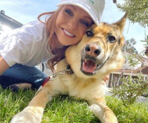 Anne Leighton Instagram - Searching for the Easter Bunny 🐰🥚🐣 #happy #easter #holiday #egg #hunt #germanshepherd #dogsofinstagram #i #am #the #pooperscooper #💩 #😂