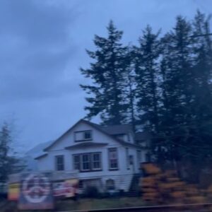 Anne Leighton Instagram - Crystal 🦋
@stevienicks #whistler 

A new year begins⌛️ Morning glistens hope like dew across the horizon, as I ride mountainside up this long, windy road. The fog hangs low in the distance, as if to rest from the year’s long journey upon the branches of nature’s beauty. Enveloped by a sapphire sky and swirls of the crisp cold winter air, I’m immersed in the behemoth of this terrain to swallow me whole and whisper the secrets of life. I am left simple and renewed. Mother Nature’s law always brings truth, and me to my knees.  

My wish this year is the end to war and global healing 🌎❤️‍🩹🕊️

#writtenbyme ✍🏼 
🎥 @anneleighton 
#filming 
#footage 
#nature