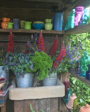 Anneka Rice Instagram - Getting ready for all the Chelsea coverage and remembering I had a garden in 2017 with @sarahravensgarden and Anita Roddick. Literally a major major highlight of my life. It was called the Anneka Rice Colour Cutting Garden. I mean! I loved every single moment of it, from getting up at 4am with Sarah to get cut flowers from the market, to planning, planting, sweeping and pruning, to meeting so many wonderful garden lovers over the week. Including a dollop of royalty. IT WAS INTENSE!!! Hope I’ve managed to post several pics here 😬. So envious of the Chelsea gang this year … #chelsea #chelseaflowershow @bbc