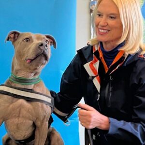 Anneka Rice Instagram - Thrilled and honoured to become a Patron @foalfarmanimalrescue . I loved the Challenge we did for them last year and was touched and inspired by the passionate care given to all the stray dogs and the support offered to their new owners. The staff are utterly dedicated to animal welfare. We filmed the Challenge in the winter, in the middle of a recession, yet volunteers poured in to help. People are wonderful and we need to celebrate volunteers everywhere. Can’t wait to get stuck in with this glorious charity! #ChallengeAnneka #animalwelfare #dog #rescuedog #puppy #challenge #community #volunteer