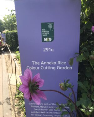 Anneka Rice Instagram - Getting ready for all the Chelsea coverage and remembering I had a garden in 2017 with @sarahravensgarden and Anita Roddick. Literally a major major highlight of my life. It was called the Anneka Rice Colour Cutting Garden. I mean! I loved every single moment of it, from getting up at 4am with Sarah to get cut flowers from the market, to planning, planting, sweeping and pruning, to meeting so many wonderful garden lovers over the week. Including a dollop of royalty. IT WAS INTENSE!!! Hope I’ve managed to post several pics here 😬. So envious of the Chelsea gang this year … #chelsea #chelseaflowershow @bbc