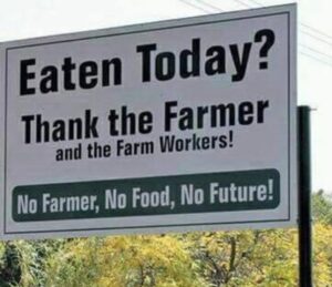 Anneline Kriel Instagram - #safethefarmers #prayforthefarmers #thankthefarmerforyourfood #dankie