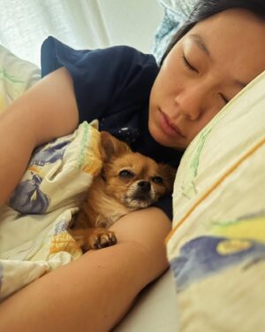 Annie Chang Instagram - Happy Pet Day to the best and littlest spoon

#nationalpetday #petday #chihuahua #tinydogs