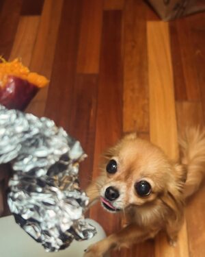 Annie Chang Instagram - Myrtle and the Sweet Potato: A Series 

Shot by @barnett_julian