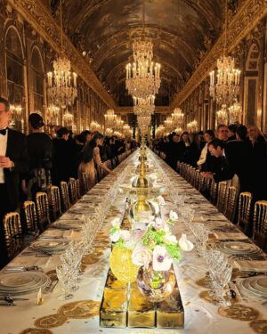 Annie Starke Instagram - The most beautiful evening I’ve ever experienced. Thank you @dior and joyeux 400th anniversaire Château Versailles ♥️