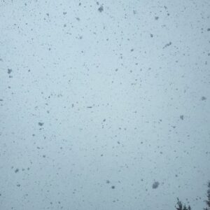Annie Starke Instagram - Spring… you’re such a tease.