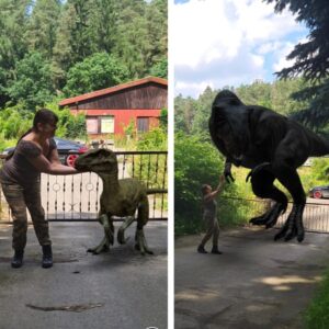 Annika Pampel Instagram - Weekend text with my #mom showing me two things. One… she discovered picture apps:) and two… she’d adopt ANY living #creature …