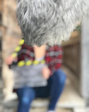 Annika Preil Instagram - Ich habe heute einen super schönen Drehtag für @willi_weitzel s Kinofilm „Willi und die Wunderkröte“, bei dem ich einen kleinen Gastauftritt habe 🎬😍
Nächstes Jahr seht ihr uns dann im Kino:)
Swipe rechts, für ein Fotofail😜
@actorsconnectionagency @filmtankproductions 

#werbung #williunddiewunderkröte #williweitzel #kino #happyme #acting