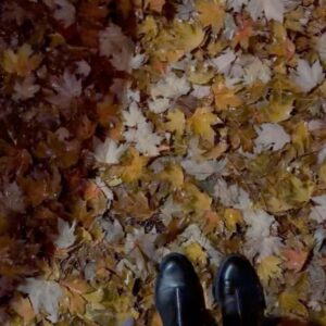 Annisa Pagih Instagram - Hello 🍁