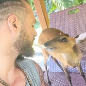 Anthony Amar Instagram - On s’aime 🦌❤️
_______
#love #animals #animallovers #cuteanimals #cute #bali