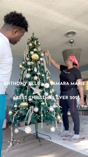 Anthony Elle Instagram - Join Me and my good girlfriend @TamaraMarieDesigns in spreading holiday cheer! We’re teaming up to make this Christmas unforgettable for 2 special LA families. 2023 has been tough for a lot of us and we want to brighten the season for our 2 chosen families. Let us deck your halls with festive decor and 5% of the proceeds will go to our deserving families. 🎁 Or make a difference with a cash donation or new items. Click the link in my bio to be a part of something wonderful! 🌟 #HolidayGiving  #SpreadCheer”