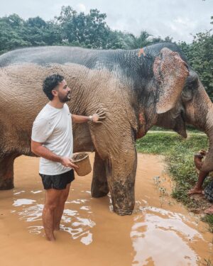 Anthony Matéo Instagram - Un bon Bain de boue 🐘🤪 #elephant #thailande #sanctuary #noridenochain #protectanimals