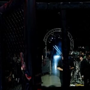 Anthony Pettis Instagram - Amazing fights with amazing people. APFC 11 was a hit! 📈

#FightFiesta