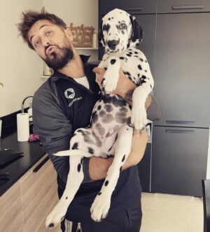 Antonin Portal Instagram - « Le chien n’a qu’un but dans la vie : offrir son cœur » 
W/ my friend Romeo 🦓

#chien #dogoftheday #chienheureux #dog