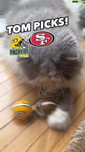 Antony Curti Instagram - TOM PICKS 🐈‍⬛ para Packers @ 49ers! #NFLnaESPN #NFL