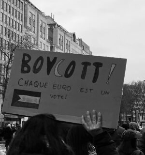 Anuna De Wever Instagram - Free Palestine